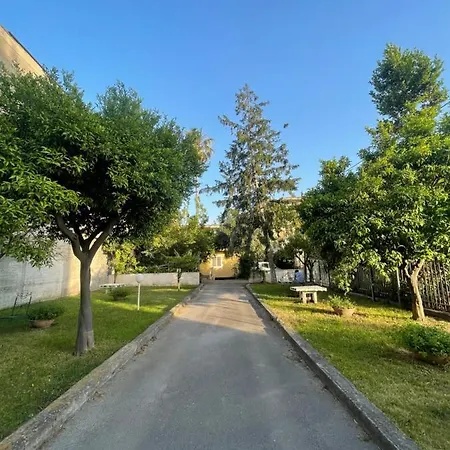 L'anfiteatro Di פומפיי